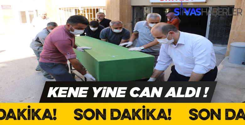 Sivas’ta keneden kaynaklı bir ölüm haberi daha