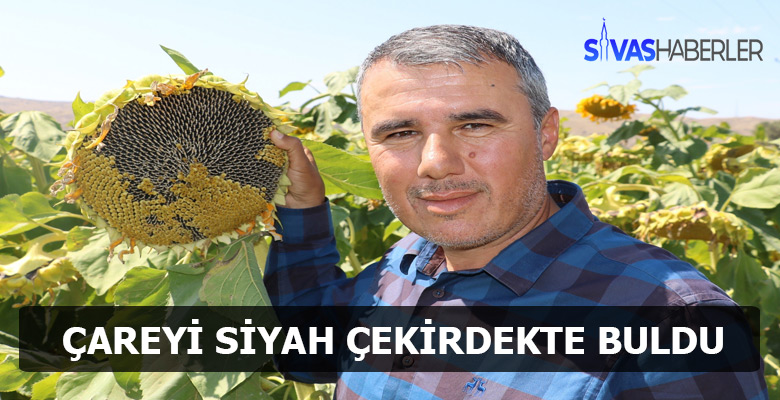 Siyah çekirdek çözüm yolu oldu