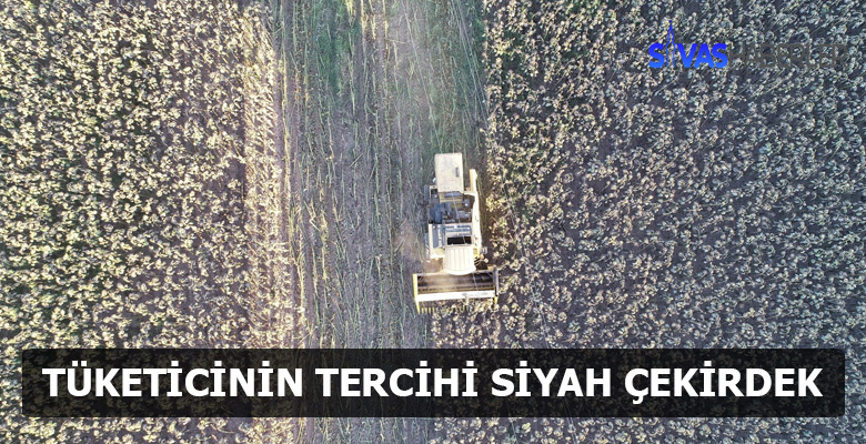 Tüketici siyah çekirdeğe yöneldi