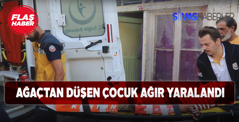 Sivas’ta ağaçtan düşen çocuk ağır yaralı