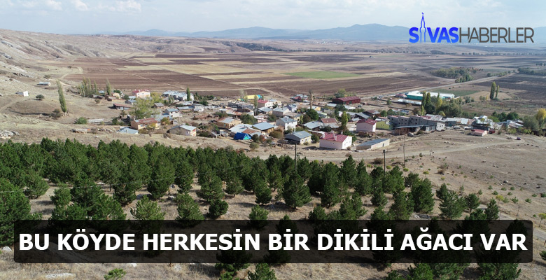 Bu Köyün bir ormanı var