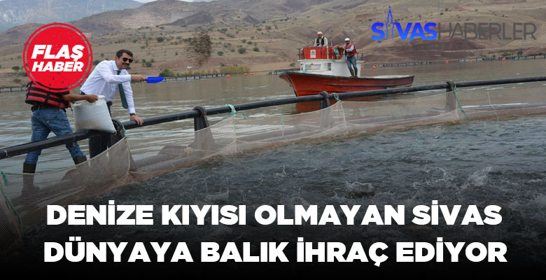 Sivas Birçok Ülkeye Balık İhraç Ediyor!