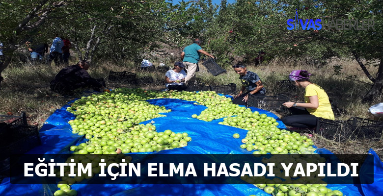 Bağışlanan elmaların hasadı gerçekleştirildi