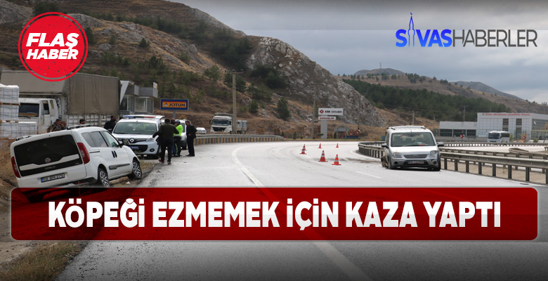 Aracın önüne çıkan köpek kazaya sebep oldu