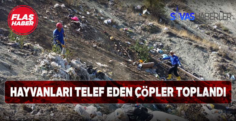 Hayvanlara Zarar Veren Çöpler Toplandı
