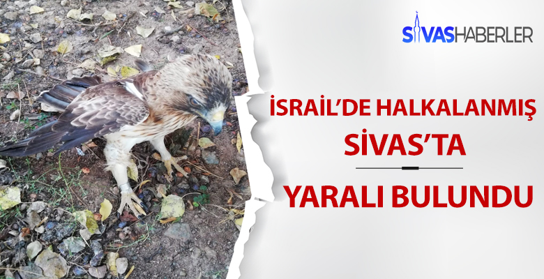 İsrail’den Kalkan Kartal Sivas’ta Bulundu