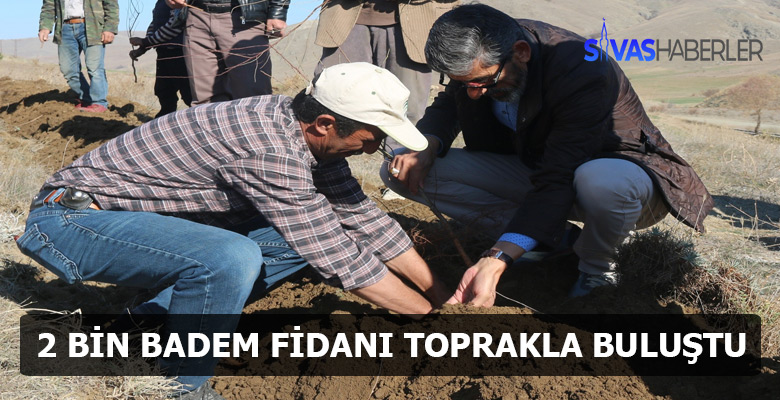 Sivas Gazibey Köyü’nde 2.000 Badem Fidanı dikildi