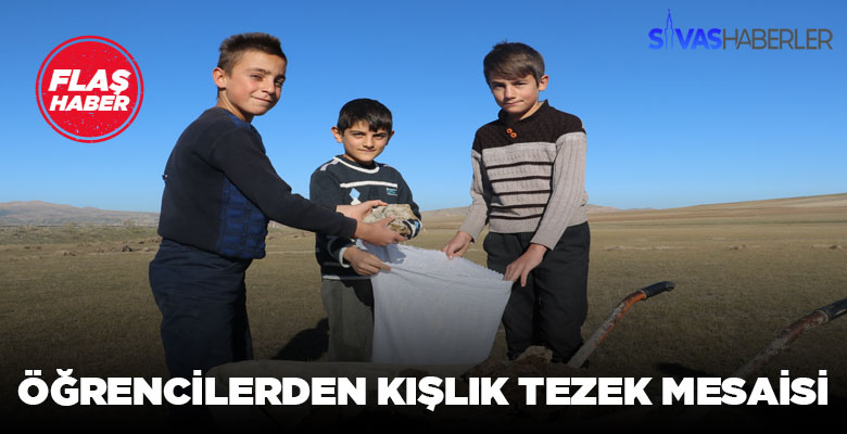 Sivas’ta öğrencilerin Tezek mesaisi