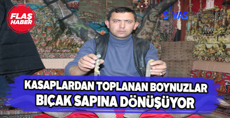 Boynuz saplı Sivas bıçaklarına ilgi artıyor
