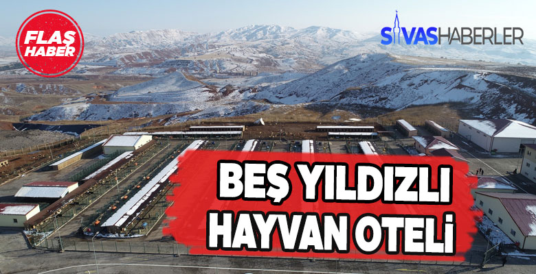 Bu barınak soğuk havalarda sıcak bir yuva