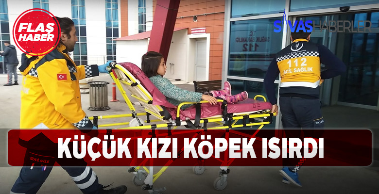 Köpek küçük kızı bacağından ısırdı