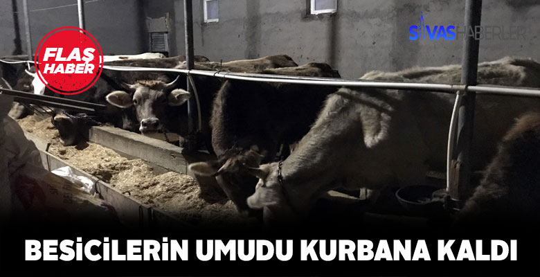 Besiciler; Kurban Bayramını bekliyor