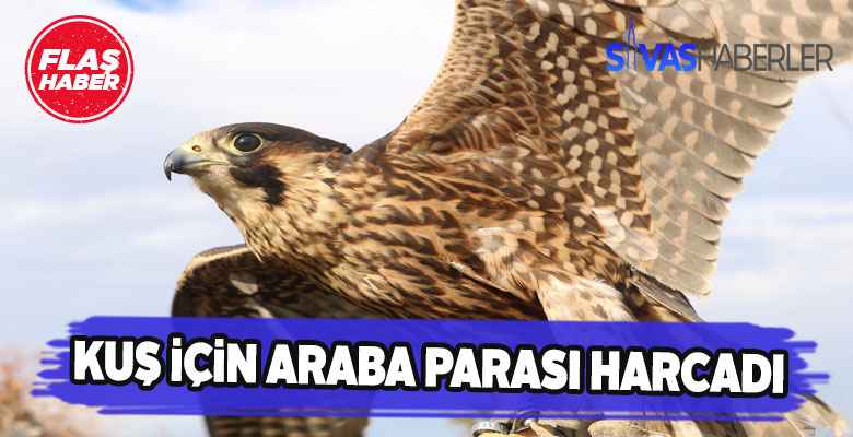 Sivas’ta bir vatandaşın Doğan sevgisi pahalıya mal oldu