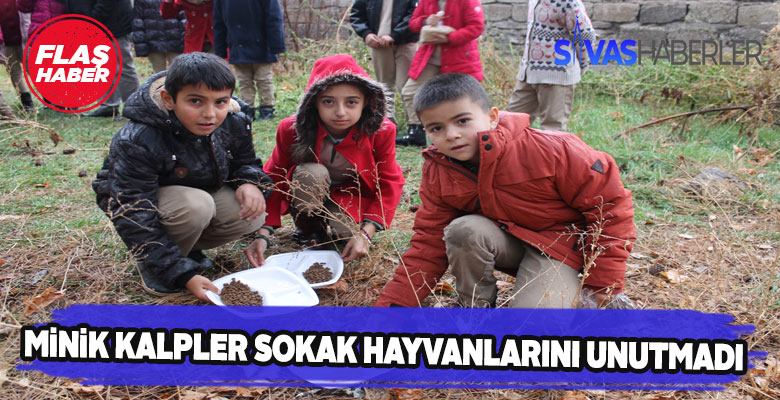 Sivas Kanuni İlkokulu öğrencilerinden örnek davranış