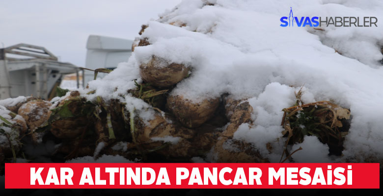 Şekerpancarı için Kar altında mesai