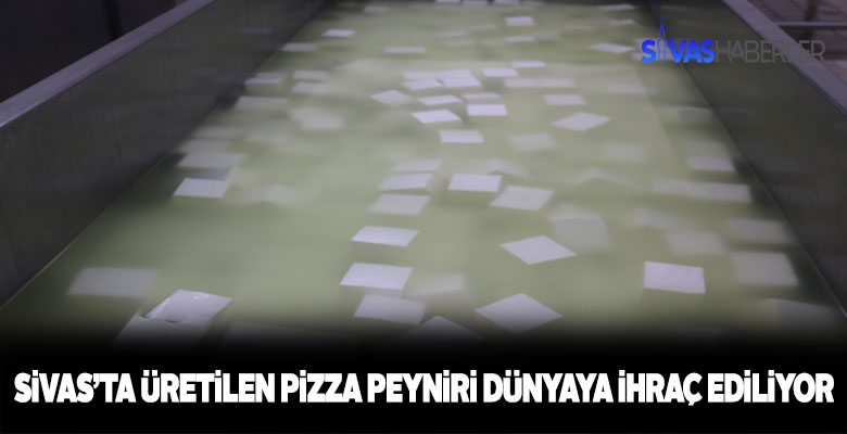 Sivas’ta üretilen pizza peyniri dünyaya ihraç ediliyor
