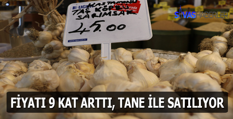 Sarımsak artık tane ile satılıyor