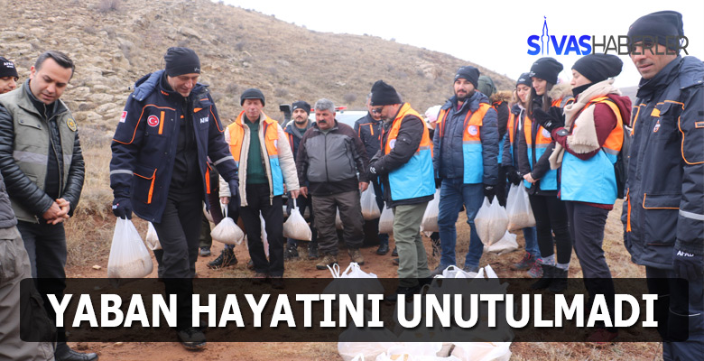 Sivaslılardan yabani hayvanlar için örnek davranış