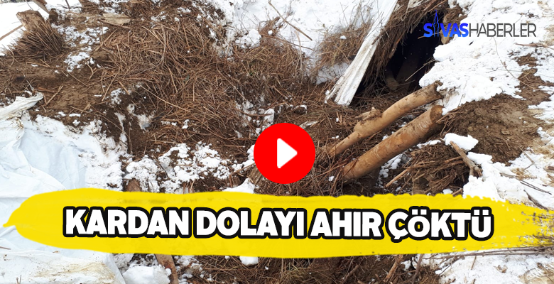 Yoğun kar yağışı nedeniyle hayvan dolu ahır çöktü