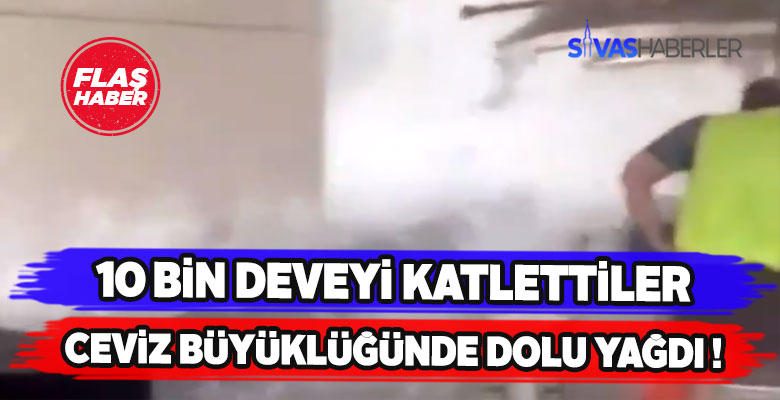 Binlerce deveyi katleden Avustralya’da yaşananlar!