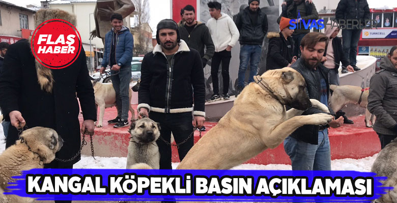 Kangal köpeği yetiştiricilerinden enteresan basın açıklaması