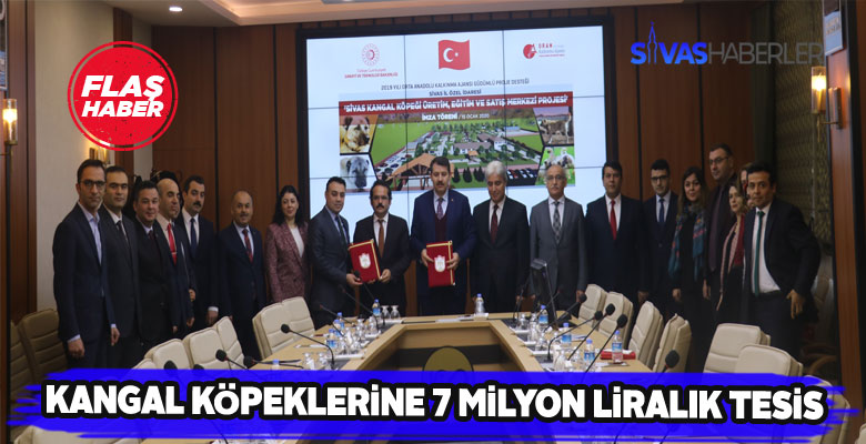 Sivas’ta kangal köpekleri için dev tesis kurulacak