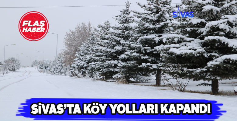 Sivas’ta kar yağışı hayatı felç etti