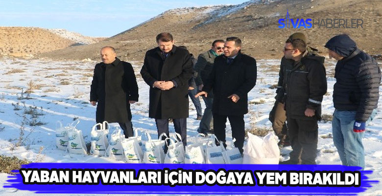 Sivas Valisi yabani hayvanları unutmadı