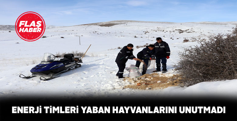 Zor şartlarda çalışan enerji timlerinden örnek davranış