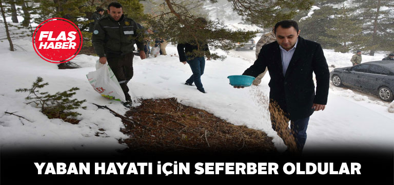 Koyulhisar’da yabani hayvanlar için doğaya yem bırakıldı