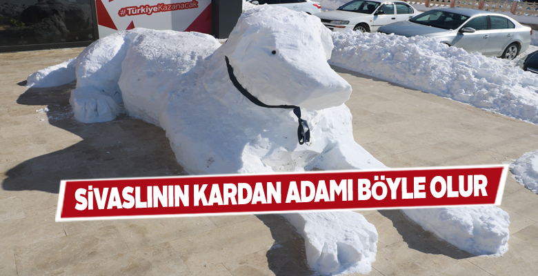 Sivas’ta kangal köpeğinden kardan adam yapıldı