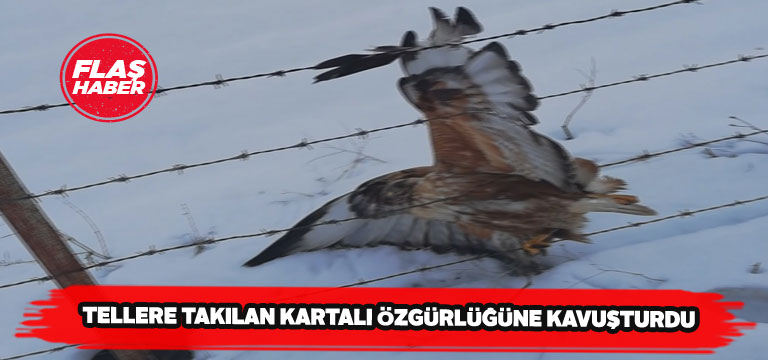 Karşıyaka köyü muhtarı tellere takılan kartalı kurtardı
