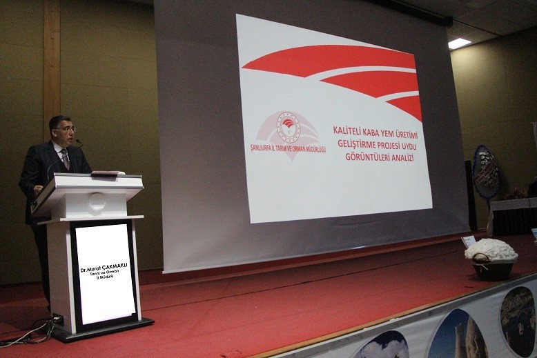 Pamuk verimini artıracak tedbirler konuşuldu
