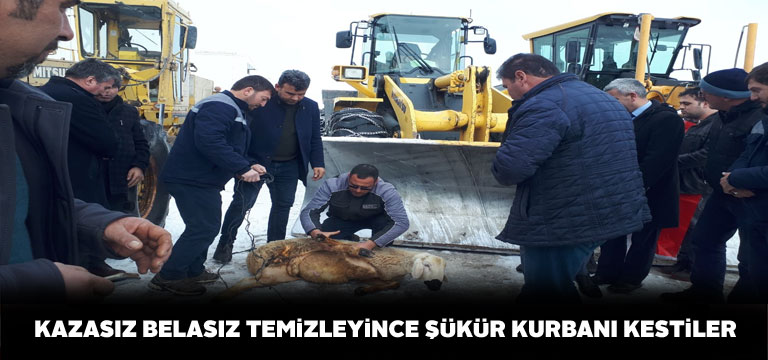 Hafik İlçe Özel İdare ekipleri şükür kurbanı kesti