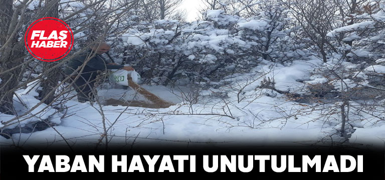 Sivas’ın 4 ilçesinde yabani hayvanlara yem bırakıldı