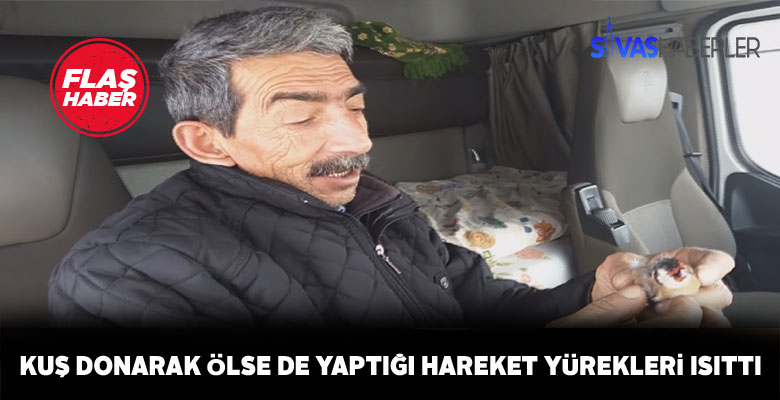 Tır şoförünün kuşu yaşatma çabası duygulandırdı
