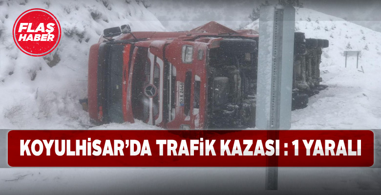 Koyulhisar’da yoldan çıkan kamyonun sürücüsü yaralandı