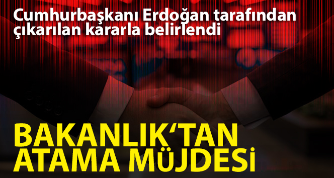 62 kamu kurum ve kuruluşuna 6 bin 219 ilave atama gerçekleştirilecek