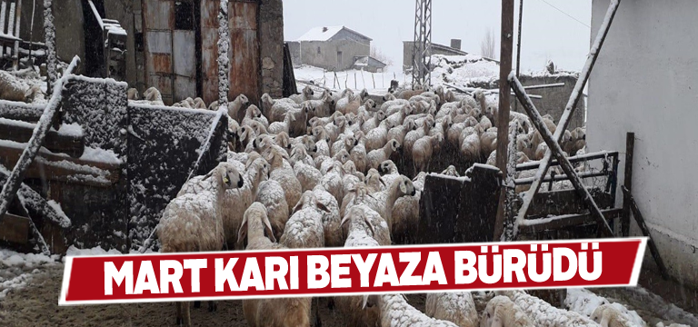 Kar yağışı sonrası Ulaş bembeyaz oldu