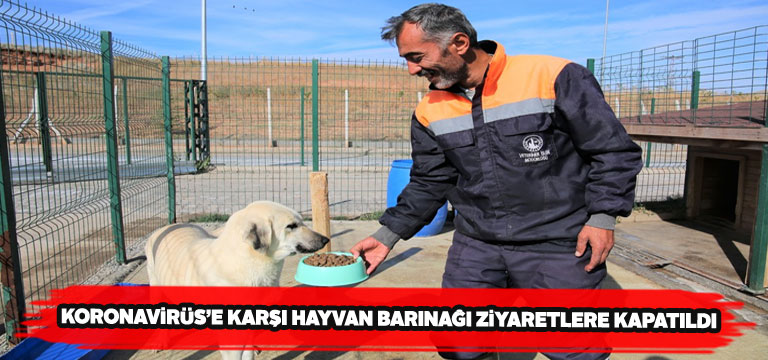Sivas Belediyesi hayvan barınağı ziyarete kapatıldı