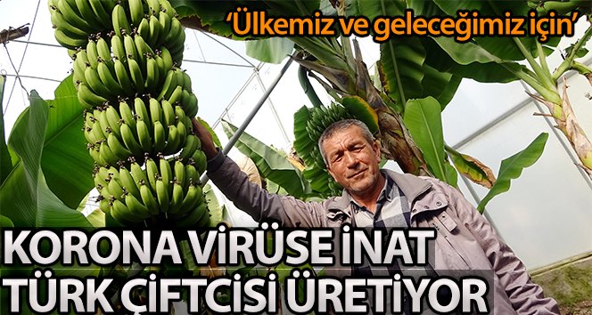 Korona’ya inat Türk çiftçisi üretiyor