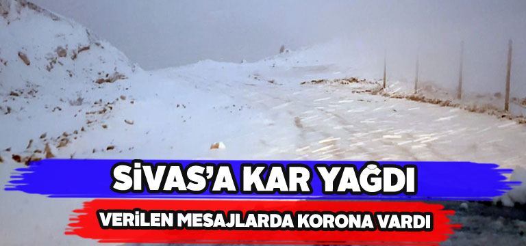 Sivas’a yağan kar kangal köpeklerine yaradı