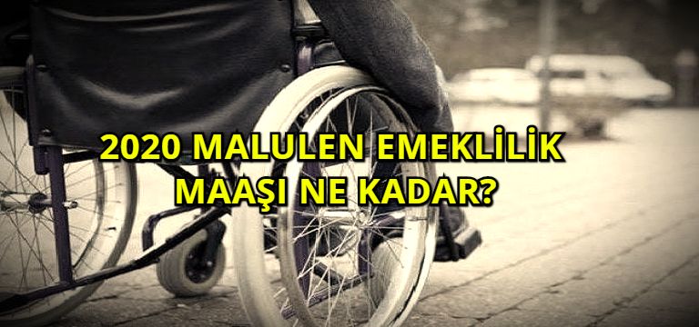 Malulen Emeklilik Maaşı Ne Kadar?