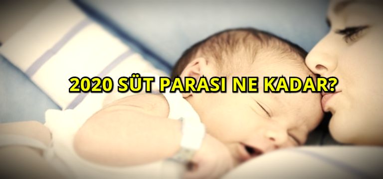 2020 Süt Parası Ne Kadar?