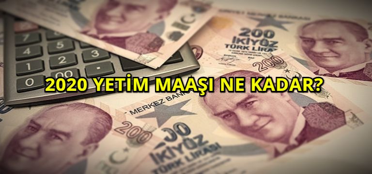 2020 Yetim Maaşı Ne Kadar?