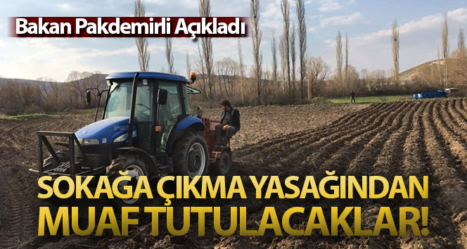 Bakan Pakdemirli: ‘Tarım ve hayvancılık faaliyetlerinde bulunanlar sokağa çıkma yasağından muaf tutulacak’