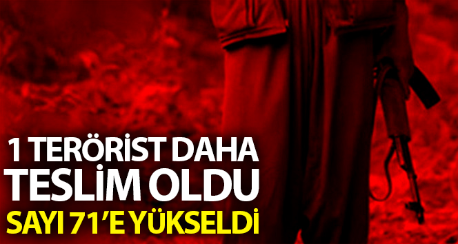 Bölücü terör örgütünden ikna yoluyla teslim olmalar devam ediyor