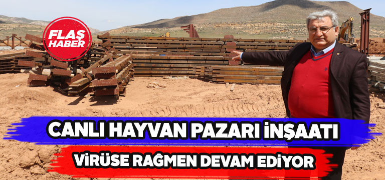 Canlı hayvan pazarı inşaatı aralıksız sürüyor