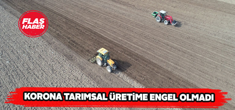 Korona virüsü Sivaslı çiftçiyi durduramadı