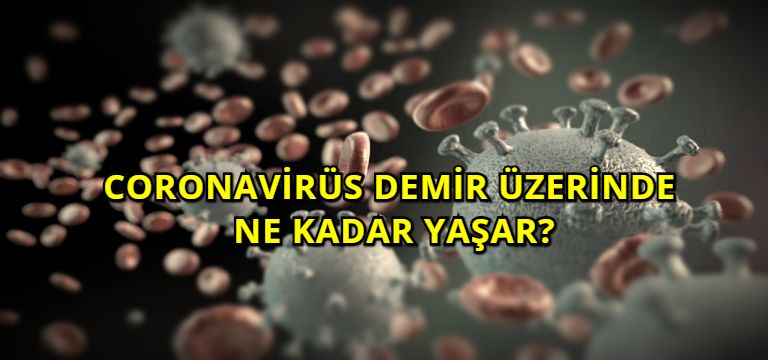 Coronavirüs Demir Üzerinde Ne Kadar Yaşar?